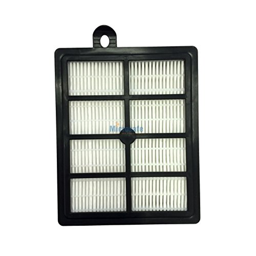 HEPA-Filter für AEG Staubsauger LX7 X Power LX7-1-DB, Serie LX 7 - Alternativ zu AEG AFS1W Allergy Plus Filter von Microsafe® von Microsafe