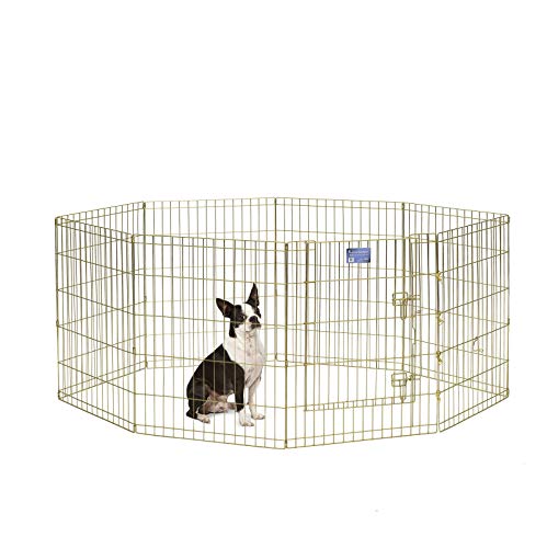 MidWest Homes for Pets Midwest Exercise Pen mit Tür, 76,2 cm, Gold von MidWest Homes for Pets