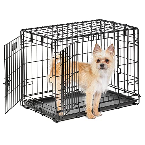 MidWest Homes for Pets Life Stages Modell 1624DD Hundebox, klein, Doppeltür, faltbar, Metall, 61 cm lang, mit Trenneinsatz, Bodenschutz, auslaufsicherer Wanne, für kleine Hunde, schwarz von MidWest Homes for Pets