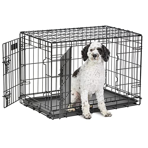 MidWest Homes for Pets Life Stages Modell 1630DD Hundebox, mittelgroß, Doppeltür, faltbar, Metall, 76 cm lang, mit Trenneinsatz, Bodenschutz, auslaufsicherer Wanne, für mittelgroße Hunde, schwarz MidWest Homes for Pets Life Stages Modell 1630DD Hundebox, mittelgroß, Doppeltür, faltbar, Metall, 76 cm lang, mit Trenneinsatz, Bodenschutz, auslaufsicherer Wanne, für mittelgroße Hunde, schwarz von MidWest Homes for Pets