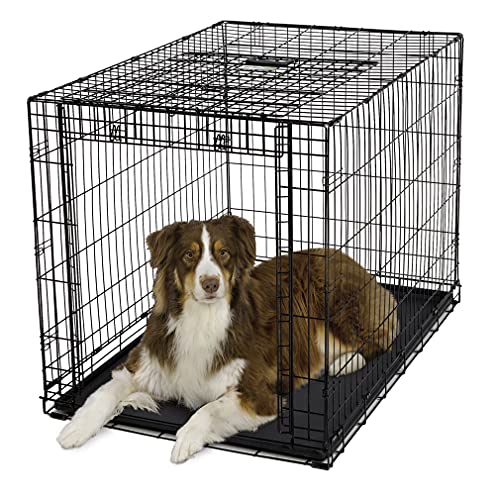 MidWest Homes for Pets Ovation Modell 1942 Hundebox, mittelgroß, Einzeltür, faltbar, Metall, 107 cm lang, mit Trenneinsatz, Bodenschutz, auslaufsicherer Wanne, für große Hunderassen, schwarz von MidWest Homes for Pets