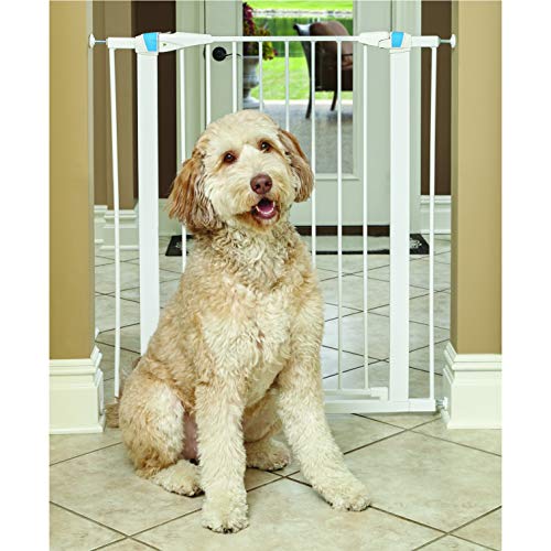 MidWest Homes for Pets 2939SW-GL Stahl-Absperrgitter für Haustiere, mit phosphoreszierendem Streifen, ca. 99 cm hoch, zum Durchgehen, Breite: 73,66–96,52 cm, sanft-weiß, Rahmen leuchtet im Dunkeln von MidWest Homes for Pets