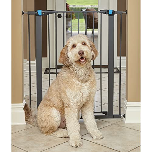 MidWest Homes for Pets 2939SG-GL Stahl-Haustier-Absperrgitter, mit phosphoreszierendem Streifen, ca. 99 cm hoch, zum Durchgehen, Breite: 73,66–96,52 cm, strukturiertes Graphit, Rahmen leuchtet nachts von MidWest Homes for Pets