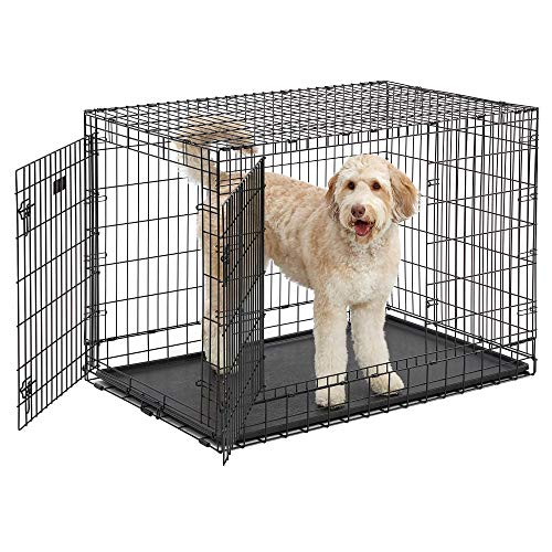 MidWest Homes for Pets Ultima Pro Series 748UP Hundebox, 122 cm lang, sehr stabil, Doppeltür, faltbar, aus Metall, mit Trenneinsatz, bodenschonenden „Rollfüßen“ und auslaufsicherer Wanne von MidWest Homes for Pets