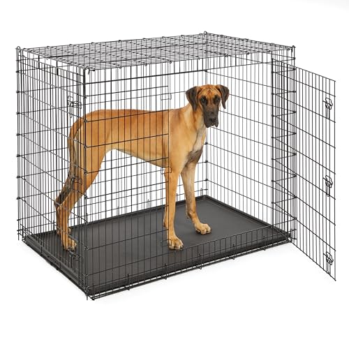 Midwest Homes for Pets Ginormous SL54DD Hundebox mit Doppeltür, sehr groß, für die größten Hunderassen, Deutsche Dogge, Mastiff, Bernhardiner, schwarz von MidWest Homes for Pets