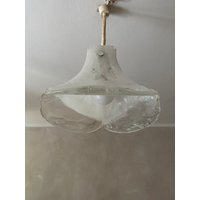 Carlo Nason Kalmar Franken Midcentury Mazzega Murano Glass Blossoms Vistosi Brass Ceiling Lamp Chandelier 60S Pendant von Midtage