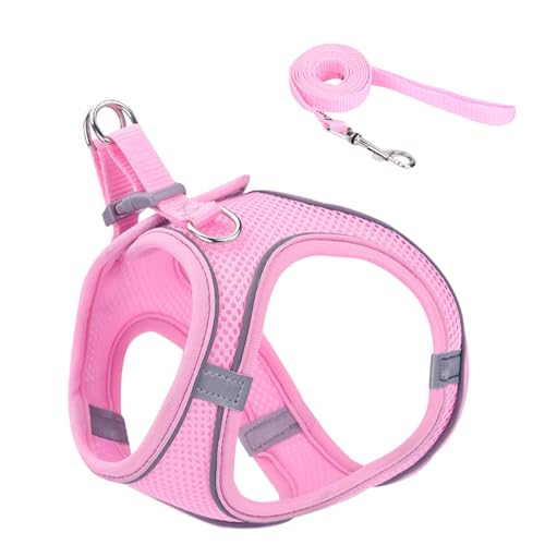 Mihauuke Ausbruchssicheres Katzengeschirr - Weiches Reflektierendes Mesh Geschirr Und Leine - Haustier Zubehör Für Sicherheit Training Reisen Wandern Rucksack Outdoor Abenteuer von Mihauuke