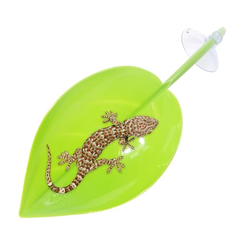 Mihauuke Baskbereich Für Schildkrötenbecken | Kletterruheplatz | Saugnapf Blattform Dekoration für Amphibien Reptilien Terrarium Teich Gartenbereich Mihauuke Baskbereich Für Schildkrötenbecken | Kletterruheplatz | Saugnapf Blattform Dekoration für Amphibien Reptilien Terrarium Teich Gartenbereich von Mihauuke