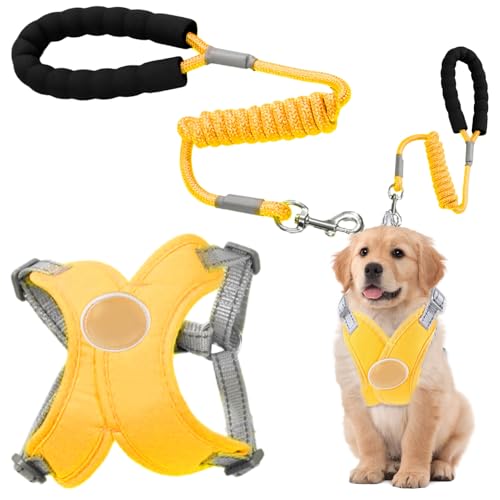 Mihauuke Hundegeschirr, Erstickungsfreie Weste, Verstellbares GEH-Zubehör Mit Reflektierender Leine Für Wandern Training Jogging Indoor Outdoor Und Dunkle Nacht von Mihauuke