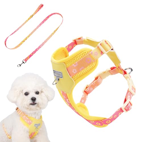 Mihauuke Hundegeschirr, Trainingsgeschirr Für Hunde, Atmungsaktives Einstellbares Geschirr Für Outdoor Sport Park Kleine Hunde Wandern Abenteuer Service Auto Reisen von Mihauuke