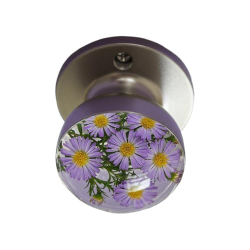 Mihauuke Schrankknäufe - Blumen Griffe Für Kindermöbel - Farbechte Hardware Accessoires Deko Für Küche Schrank Schublade Mihauuke Schrankknäufe - Blumen Griffe Für Kindermöbel - Farbechte Hardware Accessoires Deko Für Küche Schrank Schublade von Mihauuke