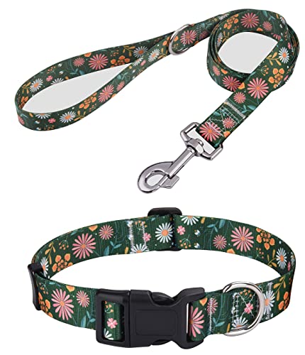 Mihqy Hundehalsband und Leine Set, Verstellbares, Weich & Komfort Nylon Hunde Halsband für Kleine Mittlere Große Hunde Welpen Katzen(Dunkel Grüne Blume Set,L) von Mihqy