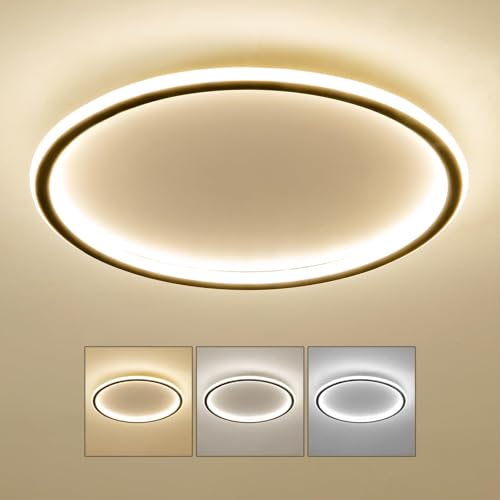 Mikeru 40CM LED Deckenleuchte Rund, LED Ring Deckenleuchten 10% bis 100% Dimmbare Decken Lampe 3000K/4500K/6500K Einstellbare Badezimmer Decke Licht für Wohnzimmer, Flur, Treppenhaus, Küche von Mikeru
