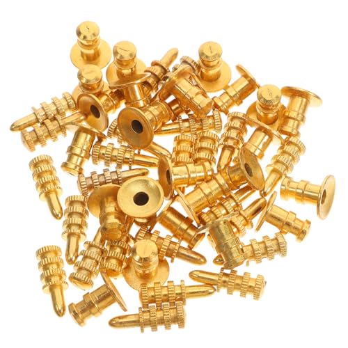 Mikikit Satz Hardware-Möbel Halterungshardware Möbelbeschläge Haltbarkeitshalterung Stift für Regalstützen Halterungen Zinklegierung Golden von Mikikit