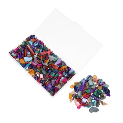 Mikikit Dekorative Muschelfragmente Unregelmäßige Mosaikstücke Robusten Muscheln für Vasen Stifthalter Kerzenhalter und DIY Projekte Vielseitig Einsetzbar Mikikit Dekorative Muschelfragmente Unregelmäßige Mosaikstücke Robusten Muscheln für Vasen Stifthalter Kerzenhalter und DIY Projekte Vielseitig Einsetzbar von Mikikit