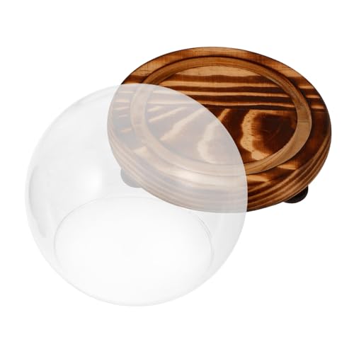 Mikinona Glasglocke mit Holzsockel Glasglocke Transparent Dekorative Glashaube Staubdicht Kleine Glasvitrine für Sammlerstücke Pflanzen Displays Mikinona Glasglocke mit Holzsockel Glasglocke Transparent Dekorative Glashaube Staubdicht Kleine Glasvitrine für Sammlerstücke Pflanzen Displays von Mikinona