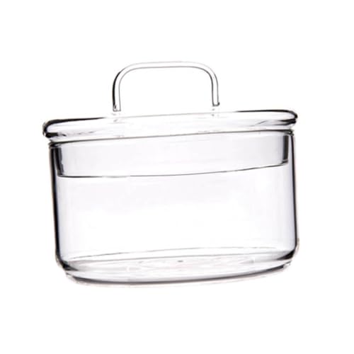 Mikinona Obstschale Mit Deckel Salatschale Dessertschale Hitzebeständiges Glas Eleganter Runder Rand Für Frühstücks-dinnerpartys von Mikinona