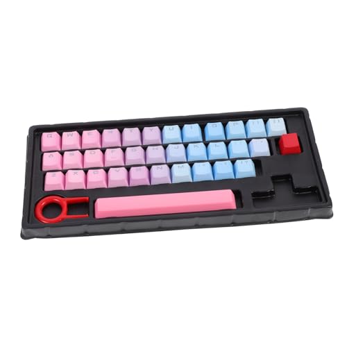 Mikinona Tastenkappen für Mechanische Tastatur Farbige Langlebige Keycaps mit Durchscheinenden Buchstaben Staubschutz Einfache Montage Unisex Passend Tasten Keyboard Mikinona Tastenkappen für Mechanische Tastatur Farbige Langlebige Keycaps mit Durchscheinenden Buchstaben Staubschutz Einfache Montage Unisex Passend Tasten Keyboard von Mikinona
