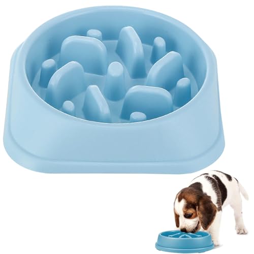 Anti Schling Napf Hund,Hundenapf Antischlingnapf Fressnapf Antischlingnapf Hunde,Anti-Schling-Hundenapf,Anti Schling Napf Hundenapf Futternapf für Katzen und Kleine Hunde,Hellblau Anti Schling Napf Hund,Hundenapf Antischlingnapf Fressnapf Antischlingnapf Hunde,Anti-Schling-Hundenapf,Anti Schling Napf Hundenapf Futternapf für Katzen und Kleine Hunde,Hellblau von Mikiuly