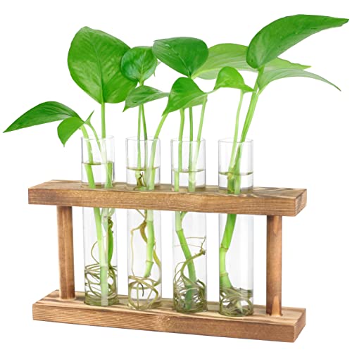Desktop-Pflanzen-Terrarium, Anzuchtstation, 4 Reagenzgläser, Übertopf, Tisch-Glas-Pflanzgefäß, Vase mit Holzständer für Hydrokulturpflanzen, Heimbüro, Tischdekoration von Mikiwon