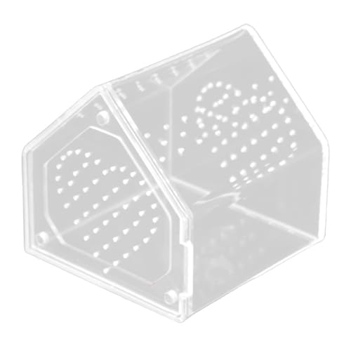 Milageto Gehege für Springspinnen, Mikrohabitat, Acryl-Zuchtbox, 12cmx12cmx12cm Milageto Gehege für Springspinnen, Mikrohabitat, Acryl-Zuchtbox, 12cmx12cmx12cm von Milageto
