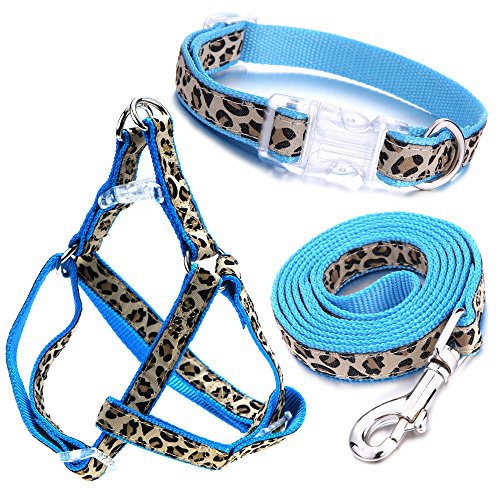 Mile High Life Hundehalsband, Geschirr und Leine | Leopard-Entwurf | Perfektes Zubehörteil für Spaziergänge mit Ihrem Hund (Blue, X-Small Neck 20-30CM) von Mile High Life