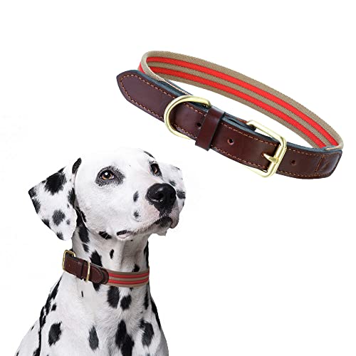 Mile High Life | Premium Canvas Leder-Hundehalsband | Metall-Pin Schnallenring Hundehalsband | Echtes Ledergürtel Halsband | für mittlere/Große Hunde (S, rot) von Mile High Life