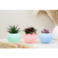 Blumentopf Pastellfarbe Pflanzentopf Kleiner Sukkulenten Rosa Blauer Grüner Lamellentextur Perfekte Pflanze Geschenk von MilesMDesign