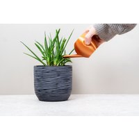 Gießkanne Garten Pflanzenpflege Kupfer Schwarz Weiß Modernes Design Kaktus Pflanze Sukkulente von MilesMDesign