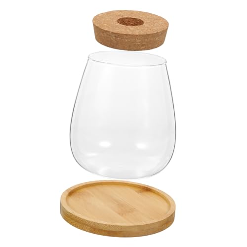 MILISTEN 1 Satz Hydro ponische Pflanzen Flasche bürodeko büro Dekoration kerzenbrett tischdeko esstisch Planter Anlage saftig Inhaber Töpfe drinnen Vase Transparenter Blumenhalter Glas von Milisten