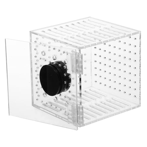 MILISTEN 1Stück Fischisolationsbox aus Aquarium Inkubator mit Magnet für Sichere Trennung von Fischen Transparentes Design für Optimale Sicht für Zucht und Aufzucht MILISTEN 1Stück Fischisolationsbox aus Aquarium Inkubator mit Magnet für Sichere Trennung von Fischen Transparentes Design für Optimale Sicht für Zucht und Aufzucht von Milisten