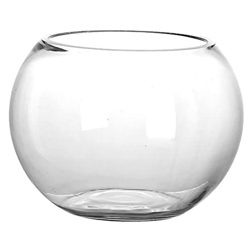 MILISTEN Glas Aquarium Langlebige Schüssel Runde Vase Glas Blasenschale Schreibtisch Fischglas Einfache Glas Fischschale Tisch Fischglas Runde Glas Fischschale Büro Fischschale von Milisten