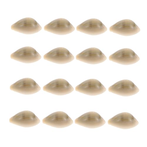 Milisten 100 Stück Natürliche Conch Muscheln Aquarium Deko DIY Natur schmuck Fischbehälter Dekoration für Heim und Wasserbecken von Milisten