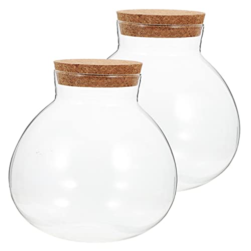 Milisten 2 Stück Ökologische Flasche mit Korkdeckel Transparentes Glasgefäß für Landschaften DIY Dekoration und Pflanzen von Milisten
