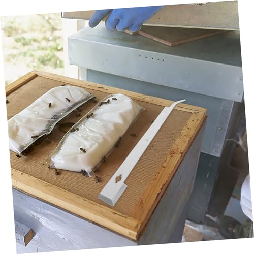 Milisten 4 Stück Beehive Scraper mit Gebogenem Kopf Langlebiges Werkzeug für Rahmenheber Vielseitiges Bienenhaltung Zubehör Leicht und für Einfache Handhabung Milisten 4 Stück Beehive Scraper mit Gebogenem Kopf Langlebiges Werkzeug für Rahmenheber Vielseitiges Bienenhaltung Zubehör Leicht und für Einfache Handhabung von Milisten