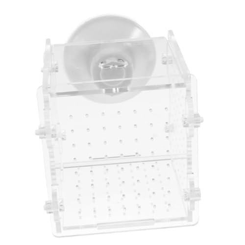 Milisten Fischzuchtbox für Aquarien Transparente Isolationsbox Babyfisch Zuchtkasten Installieren für Sichere Aufzucht von Jungfischen von Milisten