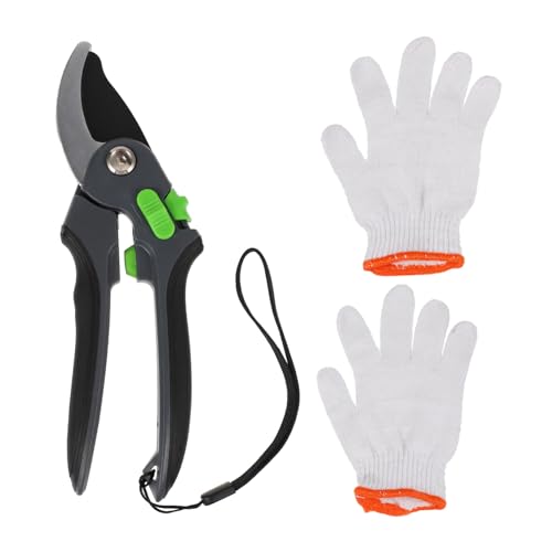 Milisten Gartenschneider mit Handschuhen Ergonomische Baumschneider für Präzises Schneiden von Pflanzen Praktischer Scherenbox für Gartenliebhaber und Effiziente Pflege Milisten Gartenschneider mit Handschuhen Ergonomische Baumschneider für Präzises Schneiden von Pflanzen Praktischer Scherenbox für Gartenliebhaber und Effiziente Pflege von Milisten