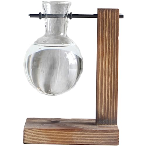Milisten Hydroponische Glasvase Mit Holzständer Stilvolle Blumenpflanze Terrarium Für Innendekoration Hochborosilikat Glas Temperaturbeständig Als Für Milisten Hydroponische Glasvase Mit Holzständer Stilvolle Blumenpflanze Terrarium Für Innendekoration Hochborosilikat Glas Temperaturbeständig Als Für von Milisten