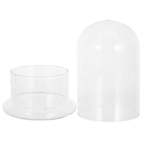 Milisten Hydroponisches Glas-Terrarium Geschlossenes DIY Ökosystem Wasserdichter Pflanzen-Flaschengarten für Moos und Zimmerpflanzen Transparentes Terrarienglas Milisten Hydroponisches Glas-Terrarium Geschlossenes DIY Ökosystem Wasserdichter Pflanzen-Flaschengarten für Moos und Zimmerpflanzen Transparentes Terrarienglas von Milisten