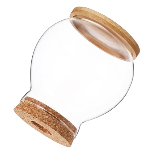 Milisten Kleines Aquarium mit Holzdeckel Transparenter Betta Fischtank für Schreibtisch Kompakter Hydroponik Fischbehälter Klares Glasfischglas Stilvolles Terrarium für Büro und Zuhause von Milisten