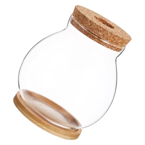 Milisten Kleines Hydroponisches Mini Aquarium mit Klarem und Elegantem Holzdeckel Mini Fischschale Erde für Betta Fisch Wohn und Bürodekoration Milisten Kleines Hydroponisches Mini Aquarium mit Klarem und Elegantem Holzdeckel Mini Fischschale Erde für Betta Fisch Wohn und Bürodekoration von Milisten