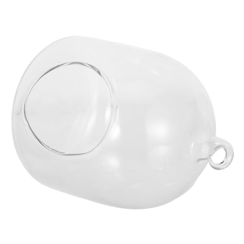 Milisten Rundes Glasgefäß Für Pflanzen Kleines Glas-Terrarium Zur Heimdekoration Glas-terrarienbehälter Für Sukkulenten Und Moosdekoration Geeignet Für Tischdekoration Und Milisten Rundes Glasgefäß Für Pflanzen Kleines Glas-Terrarium Zur Heimdekoration Glas-terrarienbehälter Für Sukkulenten Und Moosdekoration Geeignet Für Tischdekoration Und von Milisten