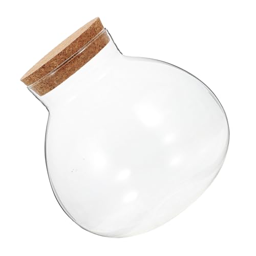 Milisten Ökologische Mikrolandschaftsflasche Flasche Mit Mikrolandschaft Klares Sphere -Terrarium Luftpflanzen Terrarium Desktop-mikrolandschaftsflasche Tabelle Vase Transparent Glas von Milisten