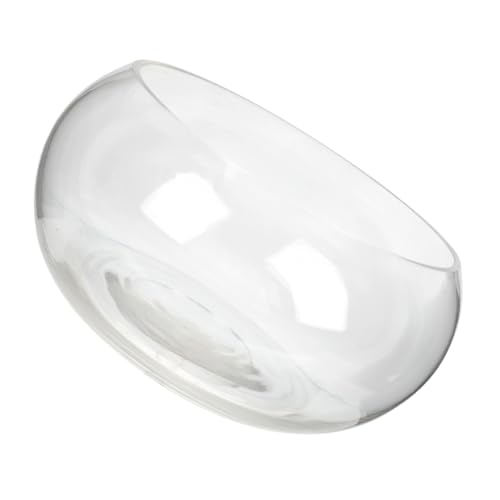 Milisten Rundes Fischglas Durchmesser Klares Terrarium für Fische und Pflanzen Vielseitiges Aquarium für Goldfisch Garnelen Schildkröten Dekoratives Schreibtisch Accessoire für Zuhause und Milisten Rundes Fischglas Durchmesser Klares Terrarium für Fische und Pflanzen Vielseitiges Aquarium für Goldfisch Garnelen Schildkröten Dekoratives Schreibtisch Accessoire für Zuhause und von Milisten