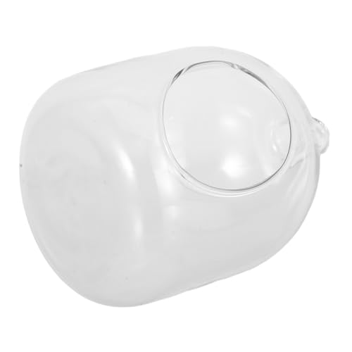 Milisten Flaschenterrarium Aus Glas Mit Moos-Terrarium Dekorative Glasflasche Als Tischdekoration Mini-terrarienglas-Glocke Für Pflanzenliebhaber Milisten Flaschenterrarium Aus Glas Mit Moos-Terrarium Dekorative Glasflasche Als Tischdekoration Mini-terrarienglas-Glocke Für Pflanzenliebhaber von Milisten