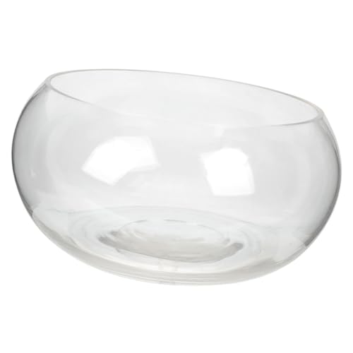 Milisten Transparente Glasvase für Pflanzen Aquarienbehälter Pflanzgefäß für Hydrokultur und Dekoration Kleine Tischdeko Milisten Transparente Glasvase für Pflanzen Aquarienbehälter Pflanzgefäß für Hydrokultur und Dekoration Kleine Tischdeko von Milisten