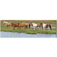 Assateague Island National Seacentury Pferdeschild | Echter Kunstdruck Auf Holz von MillWoodArt