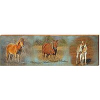 Assateague Island National Seacentury Pferdeschild | Echter Kunstdruck Auf Holz von MillWoodArt