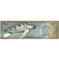 Jagdinsel State Park Unechte Karettschildkröte Studie | Echtholz Kunstdruck von MillWoodArt