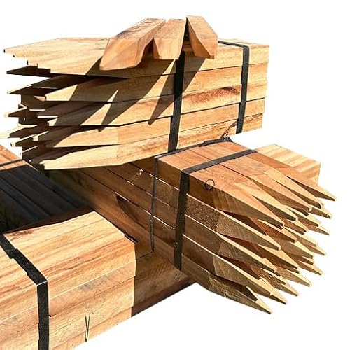 Holzpfähle Holzpflöcke Pflanzstäbe quadratisch mit vierkant Spitze 25 Stück | Eukalyptus | Holzpfähle für Markierungen | Rankstab für Pflanzen, Holzpfosten zur Abgrenzung - Stärke 2,5x2,5cm (60) von Miller Holz